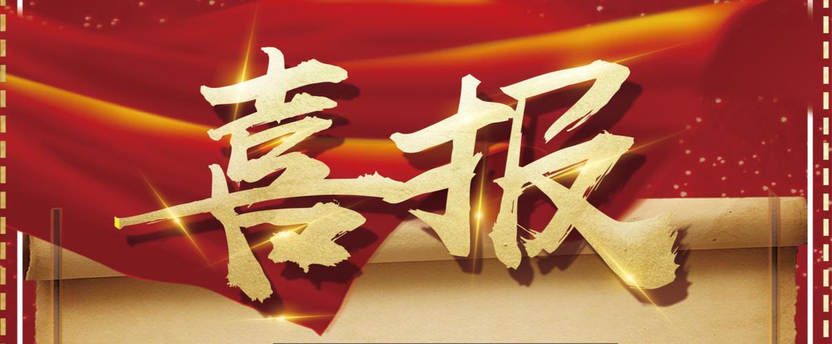 站群快排接单